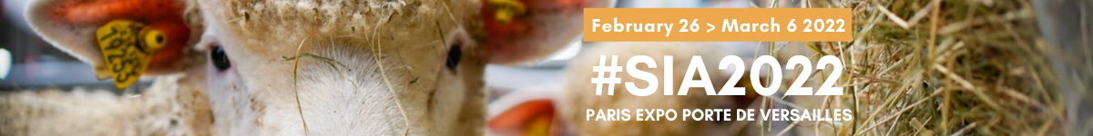 banner banner