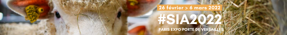 banner banner