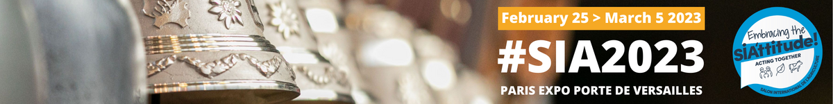 banner banner