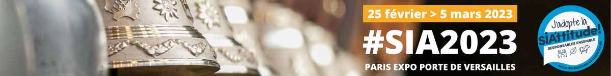 banner banner