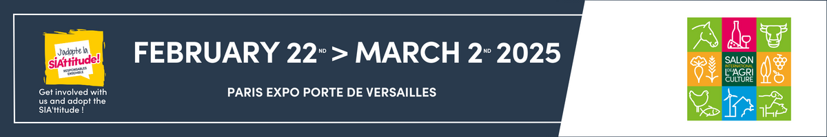 banner banner